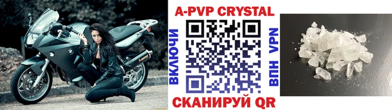 Alfa_PVP СК Североморск