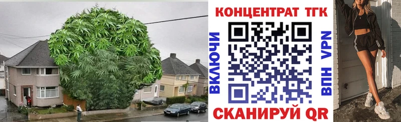 ТГК THC oil  продажа наркотиков  нарко площадка какой сайт  Североморск 